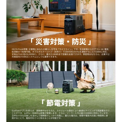 EcoFlow ポータブル電源(容量3,600Wh)DELTA|22_etj-020101