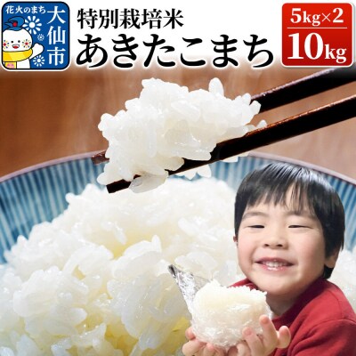 米 令和7年産【特別栽培米】あきたこまち【精米】10kg(5kg×2)|22_oks-111001