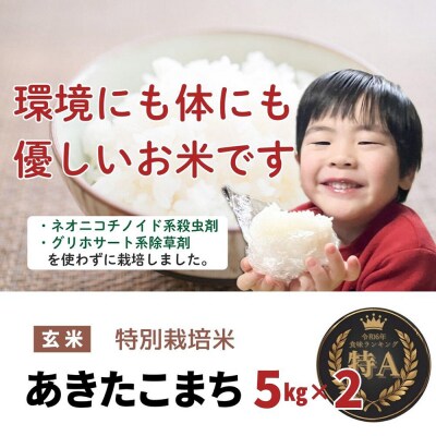 米 令和7年産【特別栽培米】あきたこまち【精米】10kg(5kg×2)|22_oks-111001