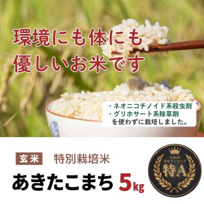 米 令和7年産【特別栽培米】あきたこまち【玄米】5kg|22_oks-120501