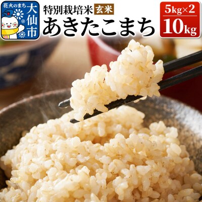 米 令和7年産【特別栽培米】あきたこまち【玄米】10kg(5kg×2)|22_oks-121001
