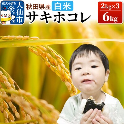 米 令和7年産「特別栽培米 サキホコレ」6kg【白米】【特A】|22_oks-210601