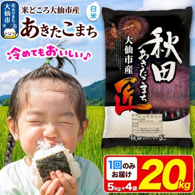 米 あきたこまち【白米】20kg 令和7年産|22_snk-012001