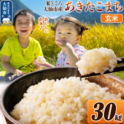 米 令和7年産【玄米】30kg(30kg×1袋)|22_ssn-023001