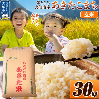 米 令和7年産【玄米】30kg(30kg×1袋)|22_ssn-023001