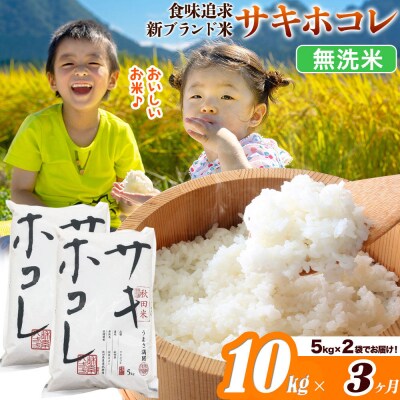 米《3ヶ月》サキホコレ【無洗米】令和7年産 10kg|22_ssn-051003m