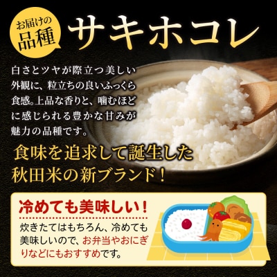 米《6ヶ月》サキホコレ【無洗米】令和7年産 10kg|22_ssn-051006m