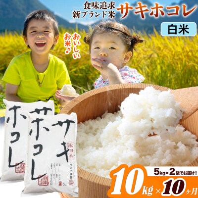 米《10ヶ月》サキホコレ【白米】令和7年産 10kg|22_ssn-051010h