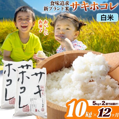 米《12ヶ月》サキホコレ【白米】令和7年産 10kg|22_ssn-051012h