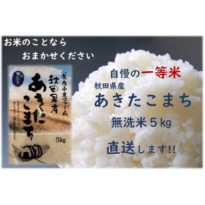 米 令和7年産 秋田県産あきたこまち 一等米 農家直送 無洗米5kg|22_uot-030501