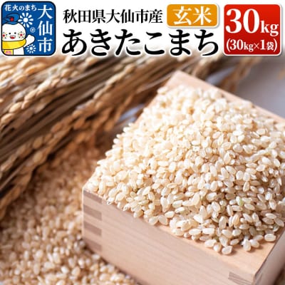 米【令和7年産】あきたこまち 玄米 30kg(30kg×1袋)|22_yss-023001