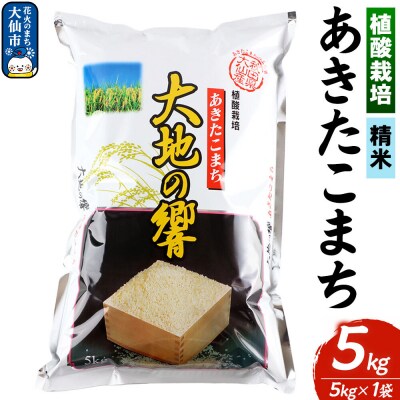 植酸栽培 あきたこまち「大地の響」5kg【精米】令和7年産|22_aks-210501