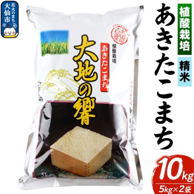 植酸栽培 あきたこまち「大地の響」10kg【精米】令和7年産|22_aks-211001
