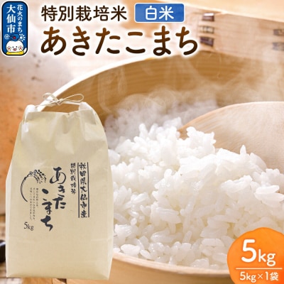 米 特別栽培米 あきたこまち【精白米】5kg×1袋産|22_rsm-220101