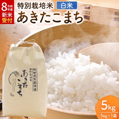 令和8年産 米 特別栽培米 あきたこまち【精白米】5kg×1袋産|22_rsm-220101