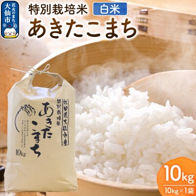 米 特別栽培米 あきたこまち【精白米】10kg×1袋産|22_rsm-230101