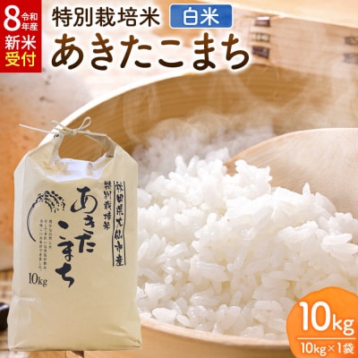 令和8年産 米 特別栽培米 あきたこまち【精白米】10kg×1袋|22_rsm-230101