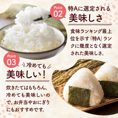 米 特別栽培米 あきたこまち【精白米】10kg×1袋産|22_rsm-230101