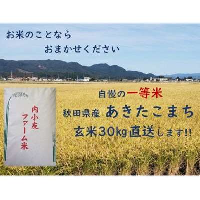 米 令和7年産 秋田県産あきたこまち 一等米 農家直送 玄米30kg|22_uot-023001