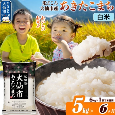 米《6ヶ月》あきたこまち【白米】  令和7年産 5kg|22_ssn-010506