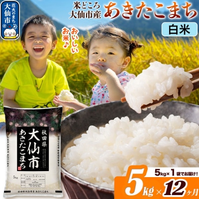 米《12ヶ月》あきたこまち【白米】  令和7年産 5kg|22_ssn-010512