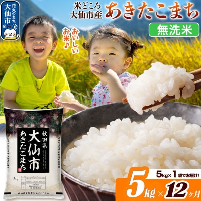 米《12ヶ月》あきたこまち【無洗米】 あきたこまち5kg|22_ssn-030512