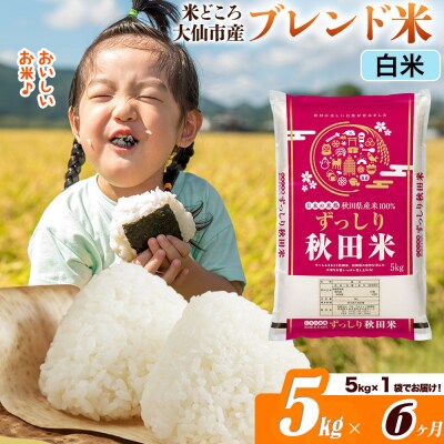 米《6ヶ月》  ブレンド米【白米】5kg|22_ssn-040506h