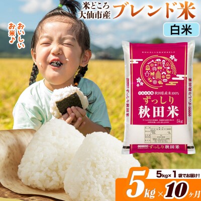 米《10ヶ月》  ブレンド米【白米】5kg|22_ssn-040510h