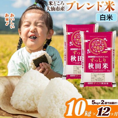 米《12ヶ月》  ブレンド米【白米】10kg|22_ssn-041012h