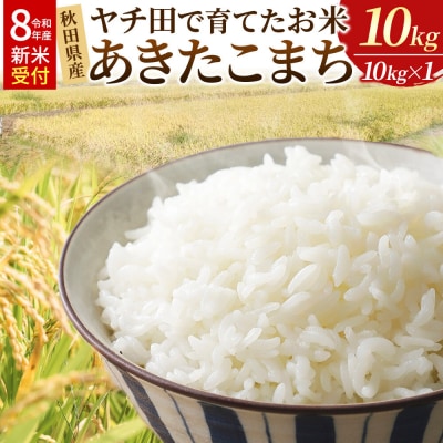 R8年産 米【白米】秋田県産 あきたこまち ヤチ田で育てたお米 10kg|22_mgm-011001