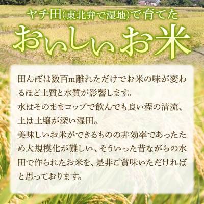R8年産 米【白米】秋田県産 あきたこまち ヤチ田で育てたお米 10kg|22_mgm-011001