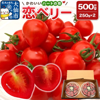 秋田県産ミニトマト「恋ベリー」500g(250g×2)ギフトBOX|22_anh-010101