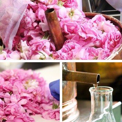 秋田薔薇園産 ガリカ薔薇ジャム 150g×2個|22_rsm-210201