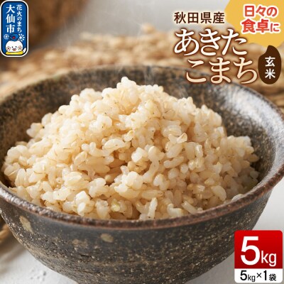 米 あきたこまち【玄米】5kg(5kg×1袋)令和7年産 秋田県産|22_sef-010501