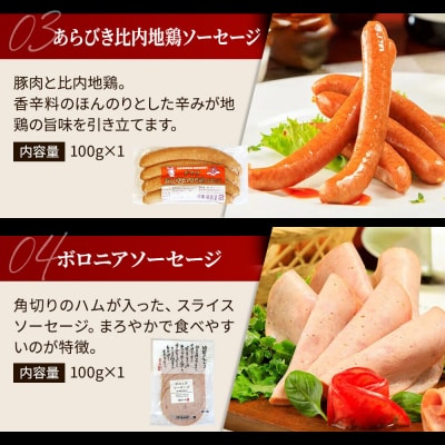 嶋田ハム ソーセージ食べ比べセット|22_sdh-010101