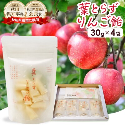 葉とらずりんご飴(30g×4P)【クロネコゆうパケット】|22_skj-010401