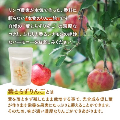 葉とらずりんご飴(30g×4P)【クロネコゆうパケット】|22_skj-010401