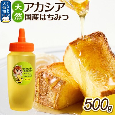 はちみつ【天然 アカシア】500g【でんのうさん家】|22_dkb-690501