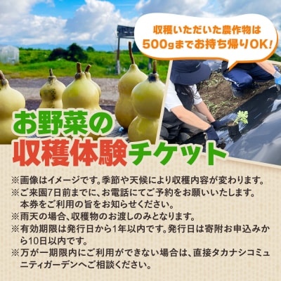 タカナシコミュニティガーデンの収穫体験チケット(3名様まで)|22_tns-070301