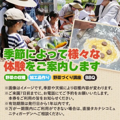 タカナシコミュニティガーデン アクティビティチケット(5名様まで)|22_tns-080501
