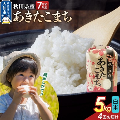 定期便4ヶ月 白米 あきたこまち 5kg 秋田県産 令和7年産|22_kml-010504