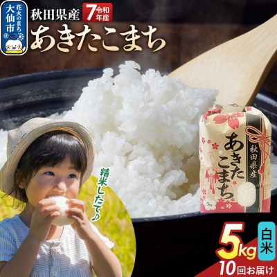 定期便10ヶ月 白米 あきたこまち 5kg 秋田県産 令和7年産|22_kml-010510