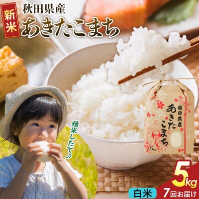 定期便7ヶ月 白米  あきたこまち 5kg  R8年|22_kml-060507s