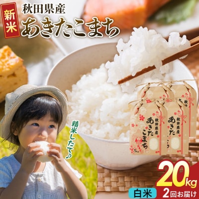 定期便2ヶ月 白米  あきたこまち 20kg  R8年|22_kml-062002s