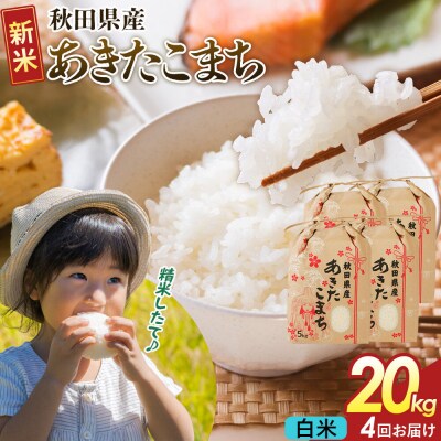 定期便4ヶ月 白米  あきたこまち 20kg  R8年|22_kml-062004s