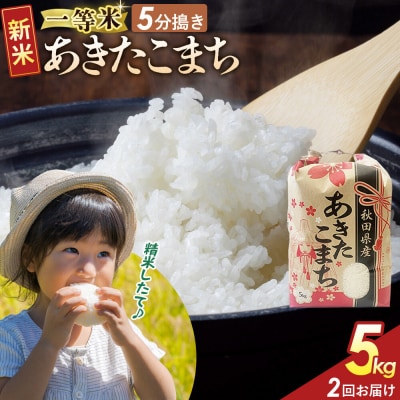 定期2ヶ月 5分搗き あきたこまち 一等米 5kg 秋田県 R8年|22_kml-050502s