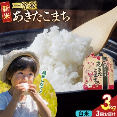 定期3ヶ月 あきたこまち 一等米白米 3kg 秋田県 R8年|22_kml-010303s