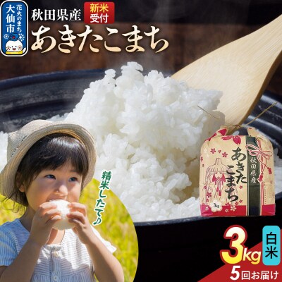 定期便5ヶ月 あきたこまち白米 3kg 秋田県産 令和8年産|22_kml-010305s