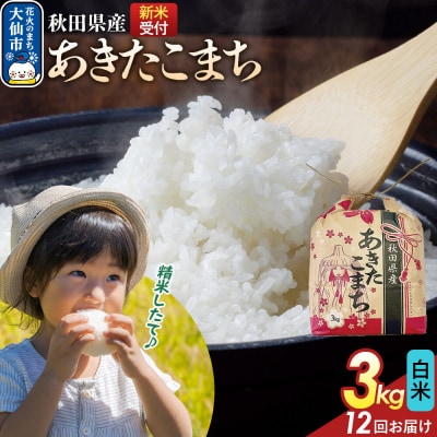 定期便12ヶ月 あきたこまち白米 3kg 秋田県産 令和8年産|22_kml-010312s