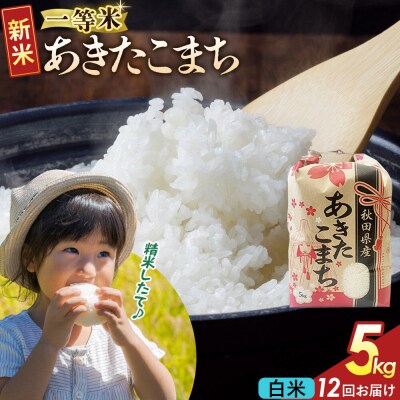 定期12ヶ月 白米 あきたこまち 一等米 5kg 秋田県 R8年|22_kml-010512s